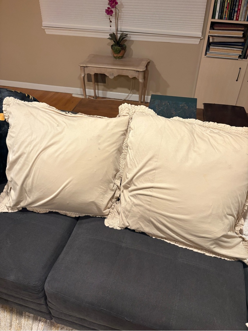 Anthropologie Euro Sham Cream Decorative Ruffled Throw Pillow Covers - Set of 2 - Picture 2 of 3
